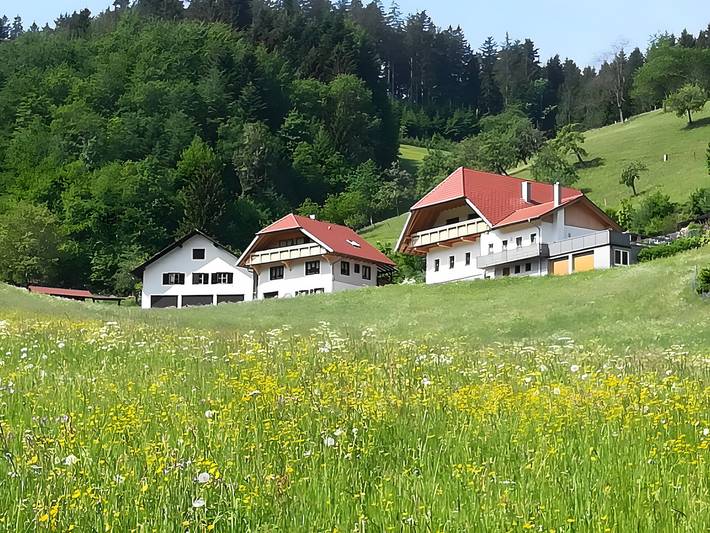 Ferienwohnung für 3 Personen, mit Garten, mit Haustier in Oberharmersbach