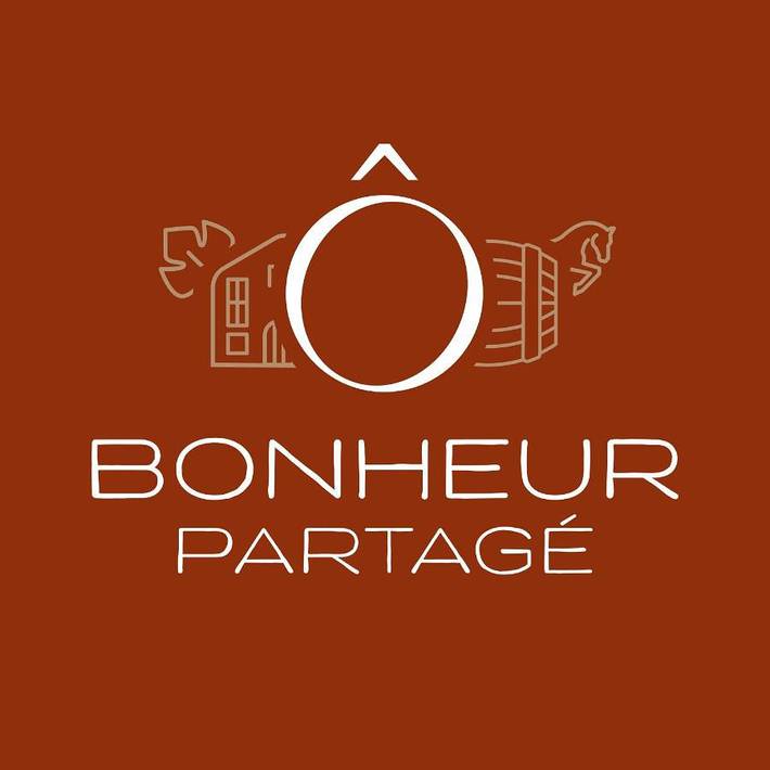 Location de vacances pour 15 personnes, avec jardin dans Loches-sur-Ource - 2