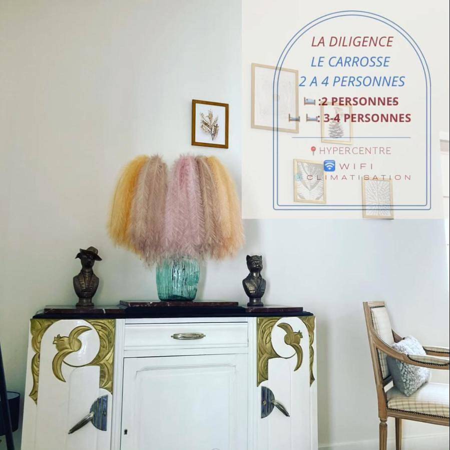 Appartement entier, Le carrosse, la diligence, centre Saint Jean de Losne tarif 2pers 1 chambre, tarif 4 pers 2 chambres in Saint-Jean-de-Losne, Région de Beaune