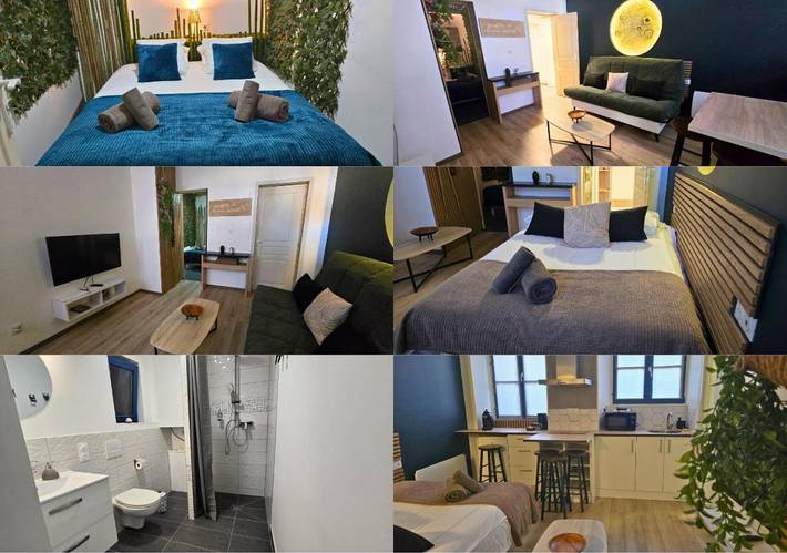 Gîte pour 3 personnes dans Office de Tourisme de Sélestat - 2