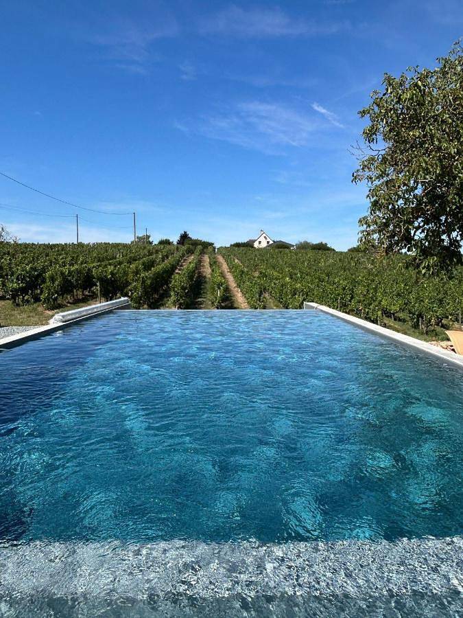 Location de vacances pour 15 personnes, avec piscine ainsi que jardin et vue, animaux acceptés à Saint-Aubin-de-Luigné - 4
