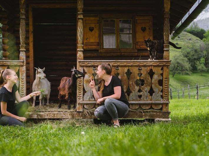 Glitschnerhof - Wohlfühlzimmer "Komfort" in Rottenmanner und Wölzer Tauern, Aigen im Ennstal