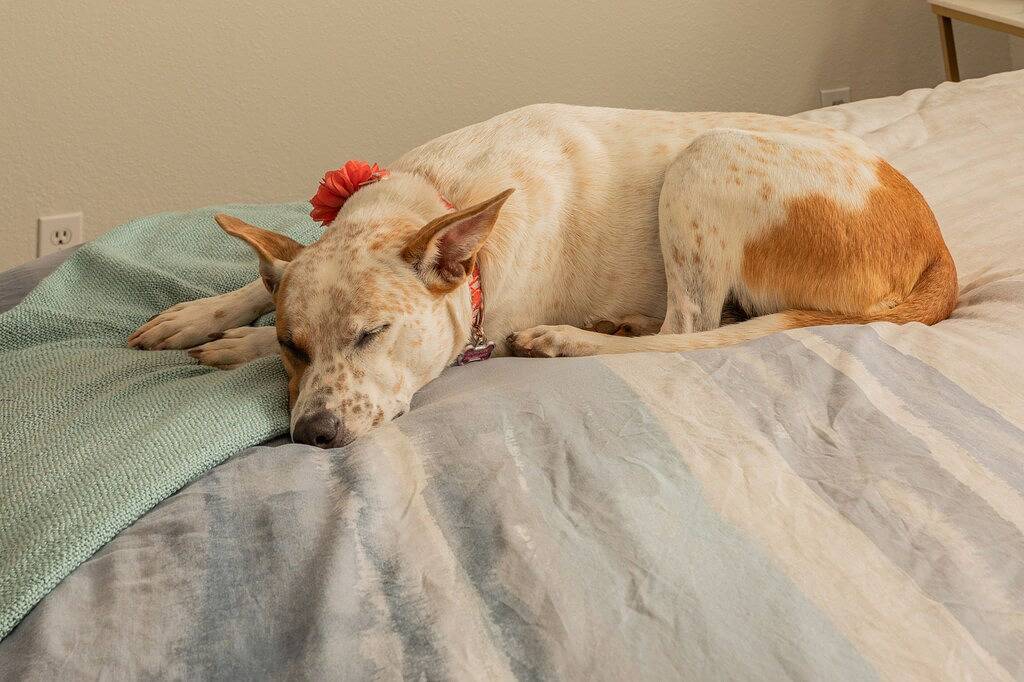 Perfect 3 Br/3 Bath - Uptown Sedona - Our Reviews say it all!\n in Sedona, Oak Creek Canyon