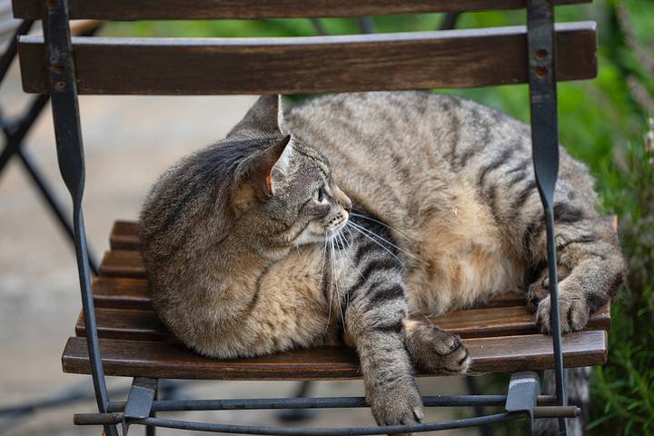 Chambre d’hôte pour 2 personnes, avec jardin dans l' Aveyron - 3