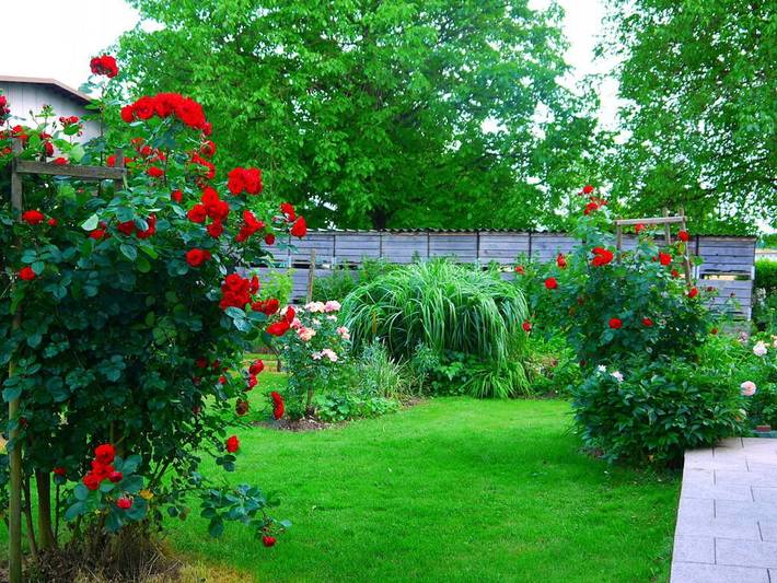 Ferienhaus für 2 Personen, mit Balkon und Garten in Friedrichshafen - 2