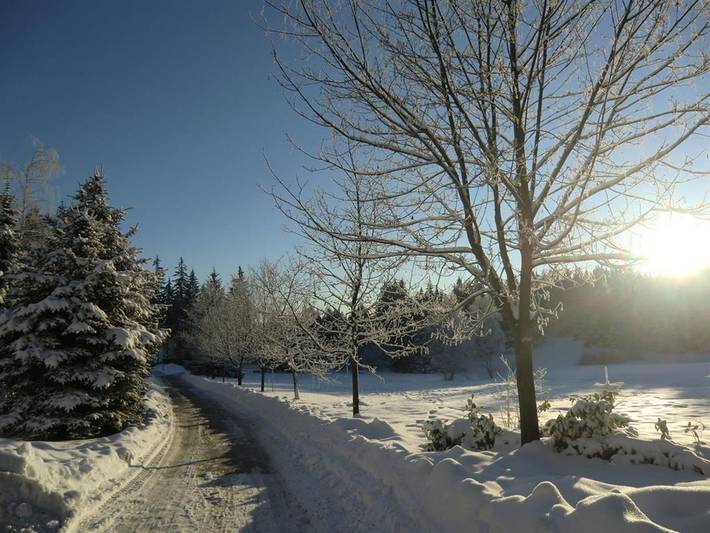 Ferienhaus für 4 Personen, mit Terrasse, kinderfreundlich im Vogtland - 2