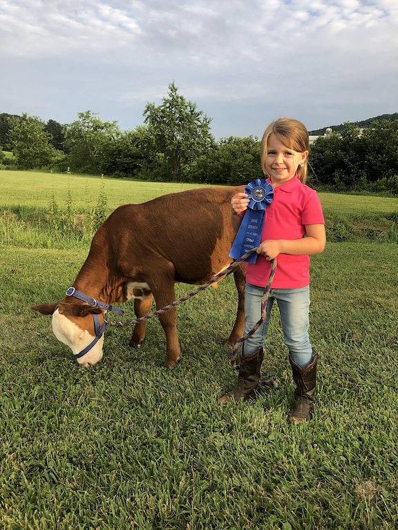 Bezauberndes Bauernhaus aus den 1930er Jahren zwischen Boone und West Jefferson, Nc !!! in Blue Ridge Parkway, Ashe County