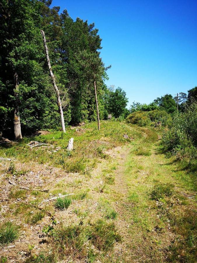 Ferienhaus für 6 Personen, mit Sauna und Ausblick sowie Garten in Soltau - 4