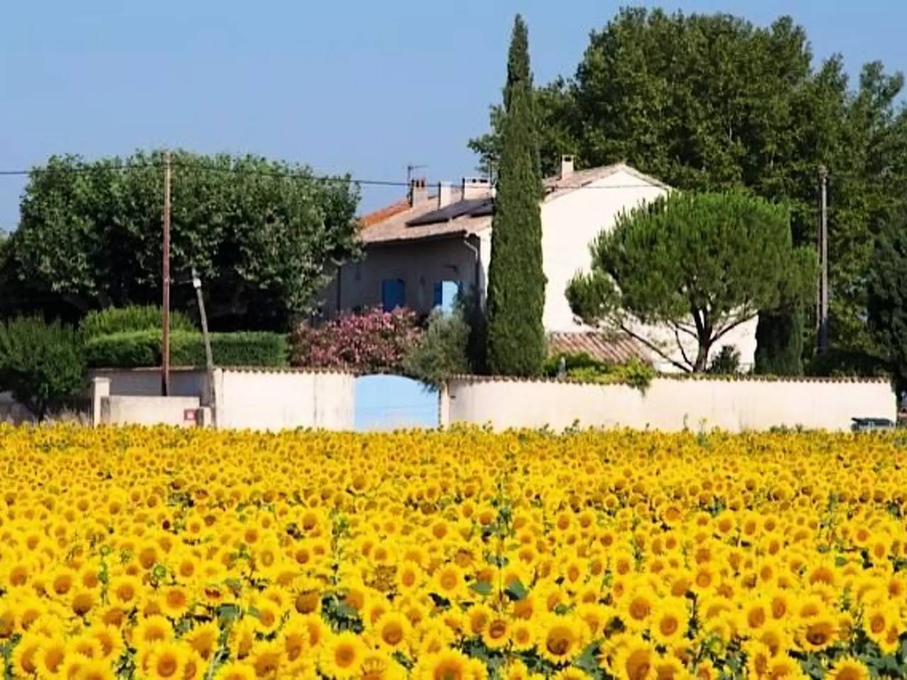 Maison 10 Personnes in Sarrians, Vaucluse