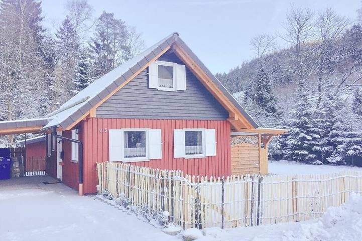 Ferienhaus für 4 Personen, mit Garten und Sauna, mit Haustier in Wildemann