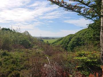 Ferieudlejning til 8 Personer i Fjerritslev, Vesterhavet, Billede 4