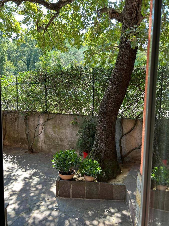 Chambre d’hôte pour 2 personnes, avec terrasse ainsi que vue et jardin à Muggia - 4