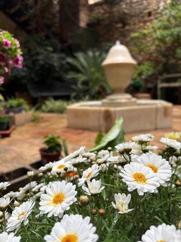 Hôtel pour 2 personnes, avec vue et jardin, animaux acceptés à Peralada