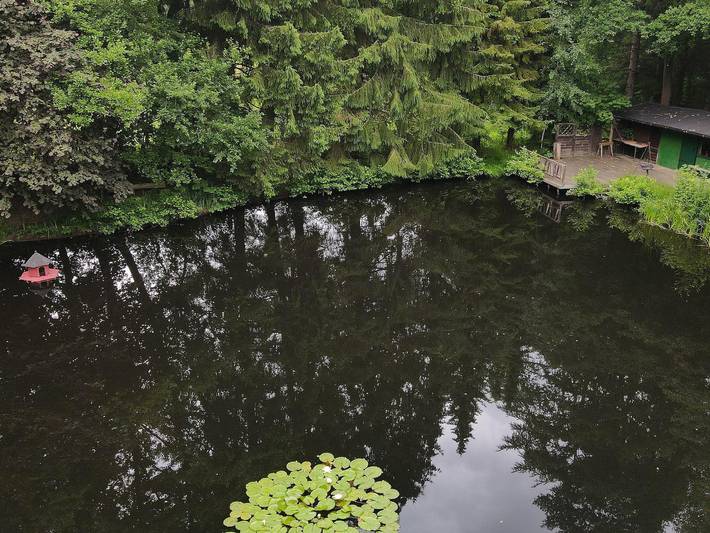 Ferienwohnung für 3 Personen, mit Garten, kinderfreundlich in Soltau - 4