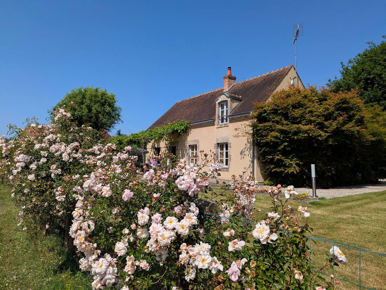 Charming Cottage with Sauna, Fireplace, and Countryside Views in Loiret in Vitry-aux-Loges, Orléans region