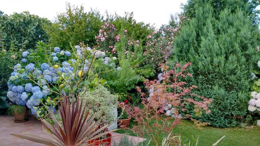 Location de vacances pour 2 personnes, avec jardin dans Côte Basque - 3