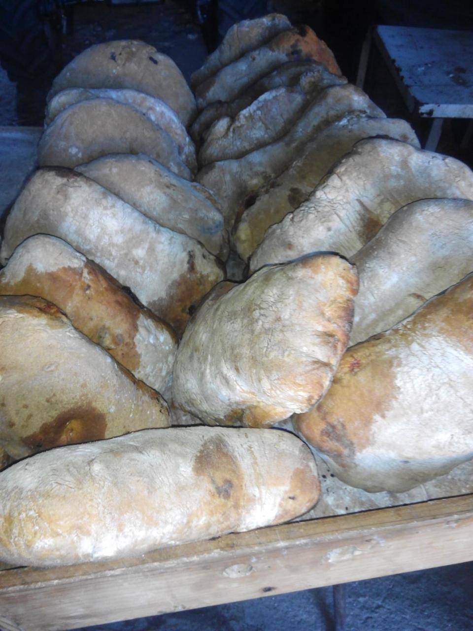 Quinta do Olival in Chaves, Distrito de Vila Real