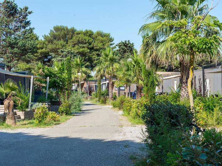 Camping Domaine Les Mûriers - Mobilheim 2 personen - Vip-Cottage 1 Schlafzimmer in Plages des Cabanes de Fleury, Vendres