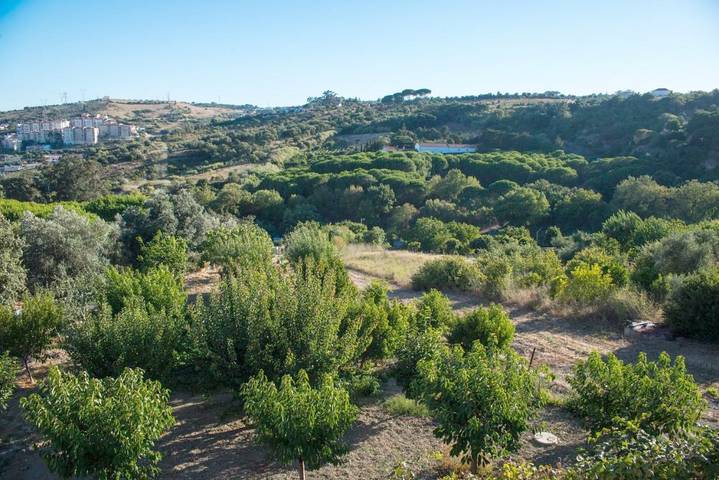 Casa de férias para 8 pessoas, com Varanda e Terraço e ainda Jardim and Vista em Vila Franca de Xira