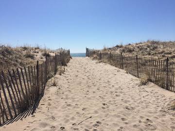 Camping for 5 Guests in South Kingstown, Rhode Island, Picture 2