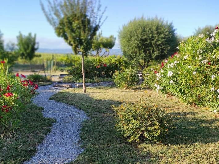 Gîte pour 3 personnes, avec terrasse et jardin à Montréal (Lanquedoc-Roussillon) - 3