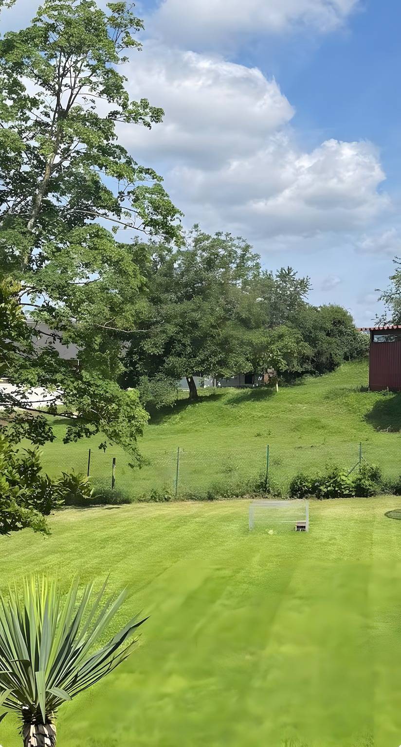 Ganze Wohnung, Auszeit & Erholung im Odenwald in Fürth (Odenwald), Bergstraße