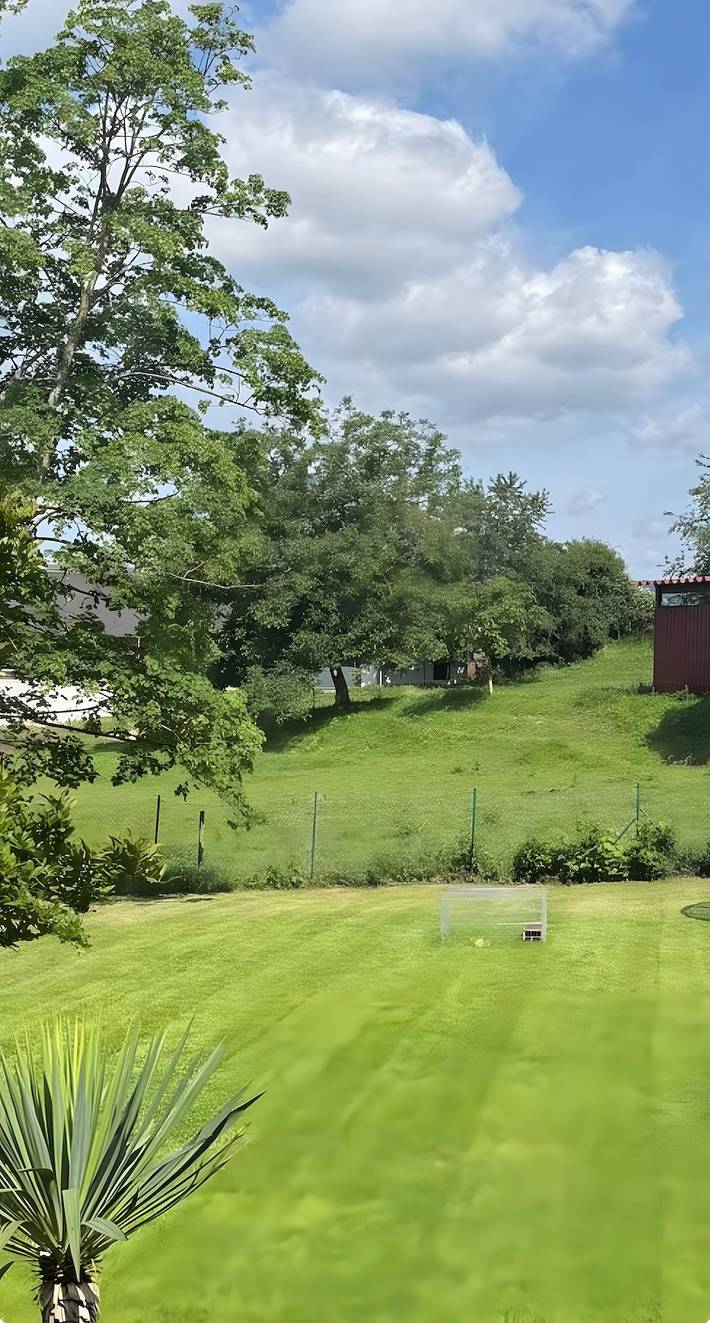 Ferienwohnung für 4 Personen, mit Haustier im Odenwald - 3
