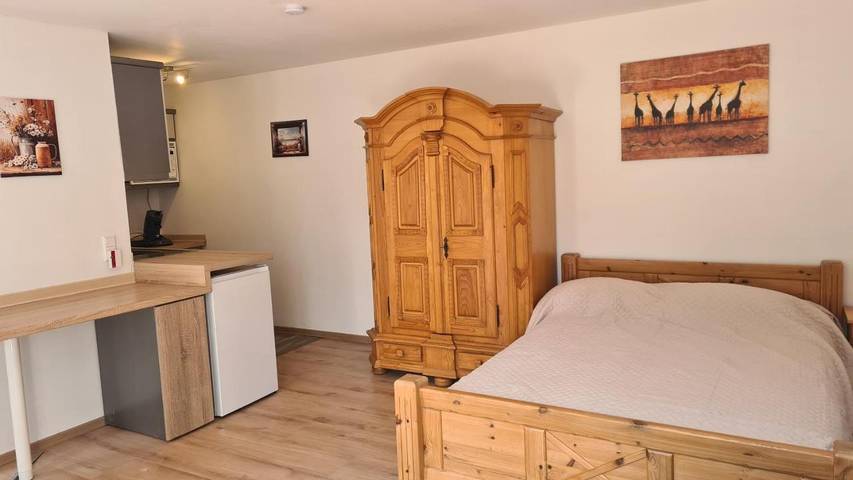 Gîte pour 4 personnes, avec terrasse et vue à Neckarsteinach - 2