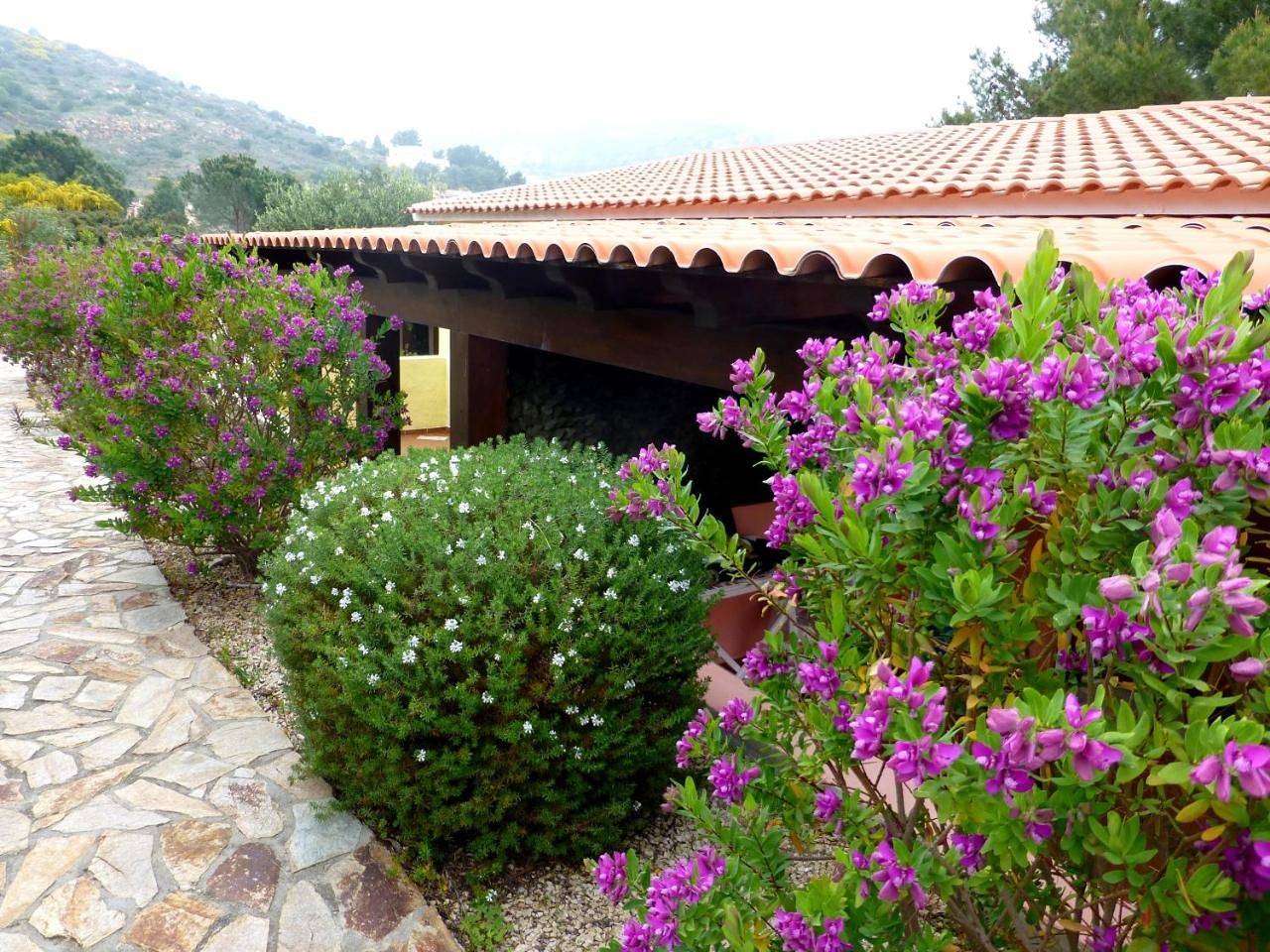 Bungalow (4 Adults) Luisella 2 in Santa Margherita di Pula, Région de Pula