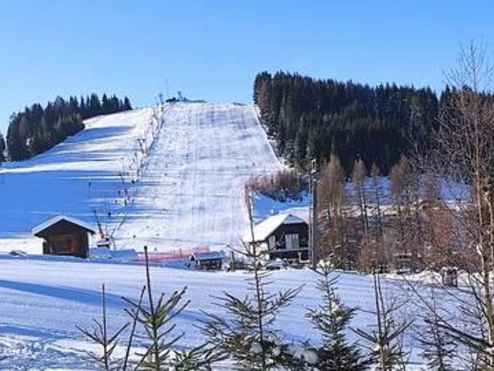 Ganze Ferienwohnung, Florian&Urban Apartmenthaus Apart 144 in Mittelkärnten