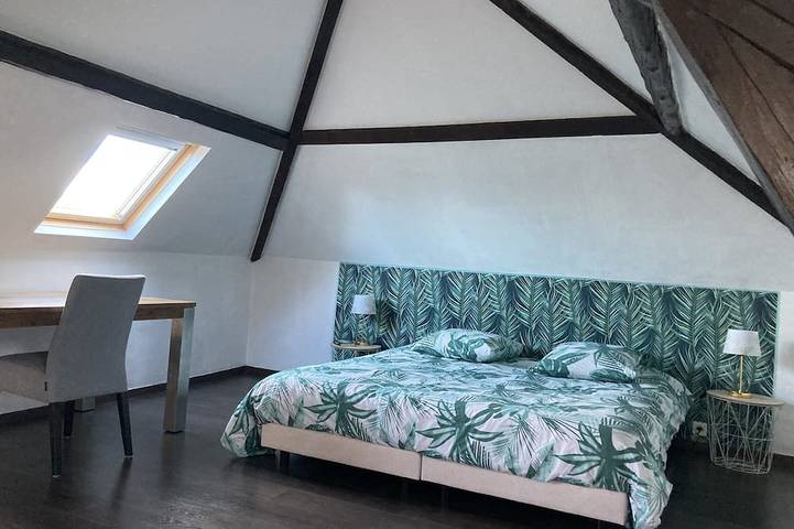 Location de vacances pour 10 personnes, avec jardin et jacuzzi à Beuzeville - 4