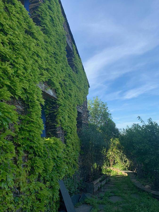 Casa rural para 7 personas, con jardín además de vistas y terraza en Sierra De Ayllón - 4
