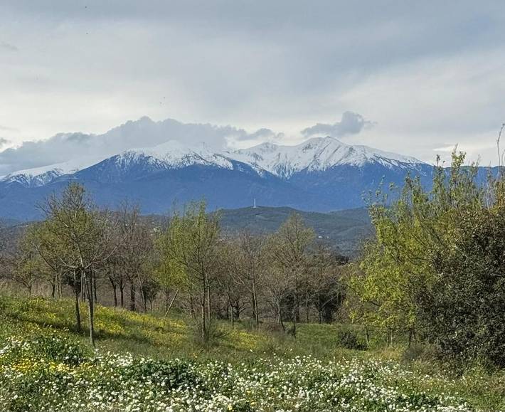 Location de vacances pour 4 personnes, avec Terrasse ainsi que Jardin et Vue à Tresserre