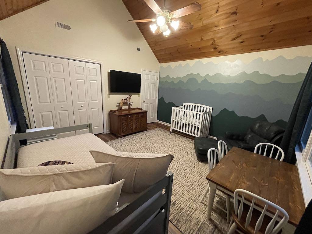 Nellie's Place- Quiet Mtn. Getaway with Scenic View, Wifi, & Community Amenities in Cherry Log, Chattahoochee National Forest