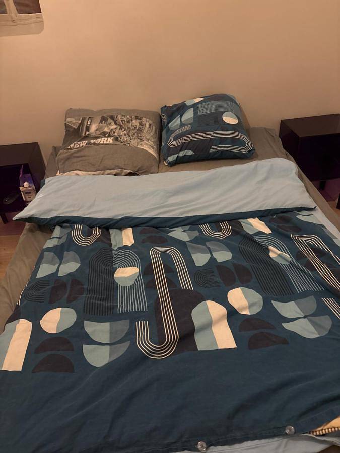 Gîte pour 4 personnes, avec vue et jardin, animaux acceptés à Bagneux - 4