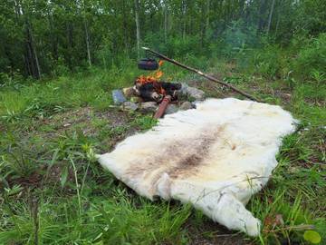 Feriehus til 4 Personer i Tana, Troms og Finnmark, Bilde 4