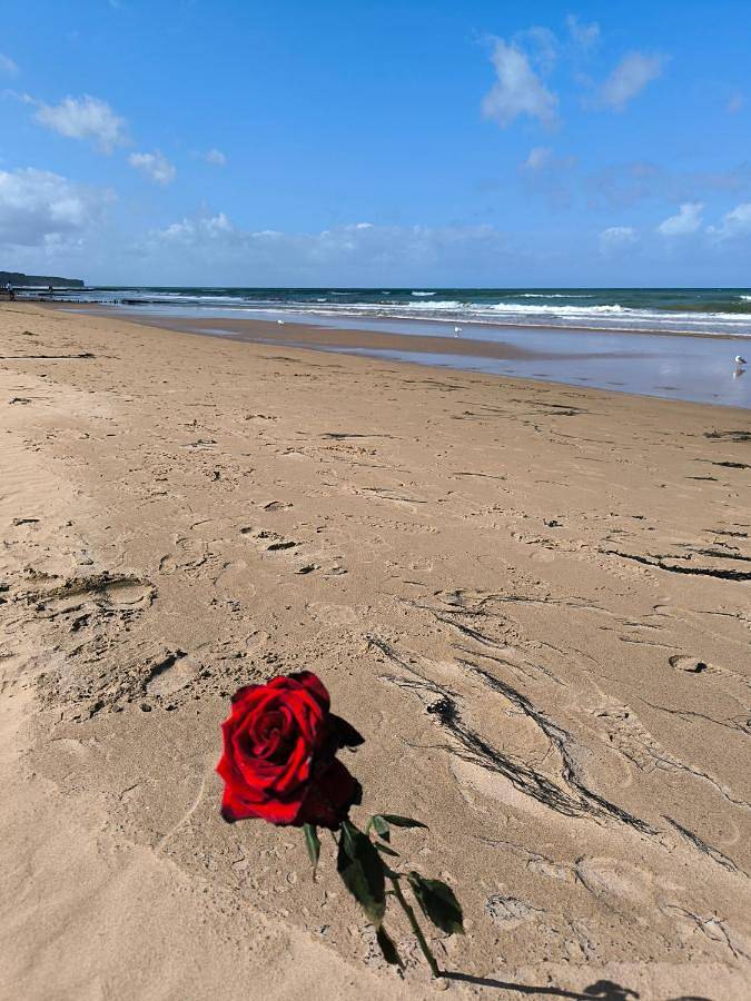 Location de vacances pour 11 personnes, avec vue et jardin, animaux acceptés à Cartigny-l'Épinay - 4