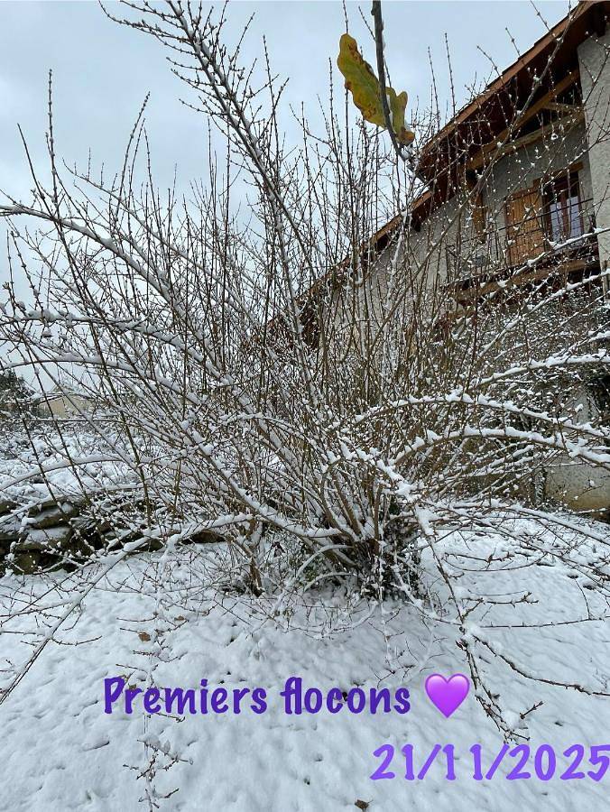 Gîte pour 6 personnes, avec jardin et vue, animaux acceptés à Brié-et-Angonnes - 2