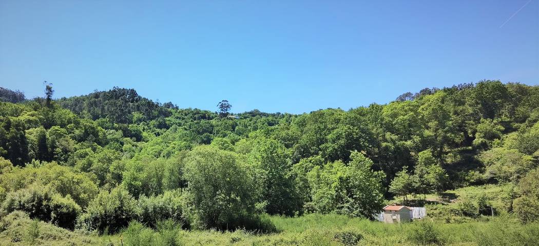 Cottage für 3 Personen mit Garten in Rio Frio, Viana do Castelo Distrikt
