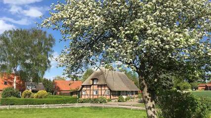 Ferienhaus für 6 Personen, mit Ausblick und Garten, mit Haustier in Hohwacht