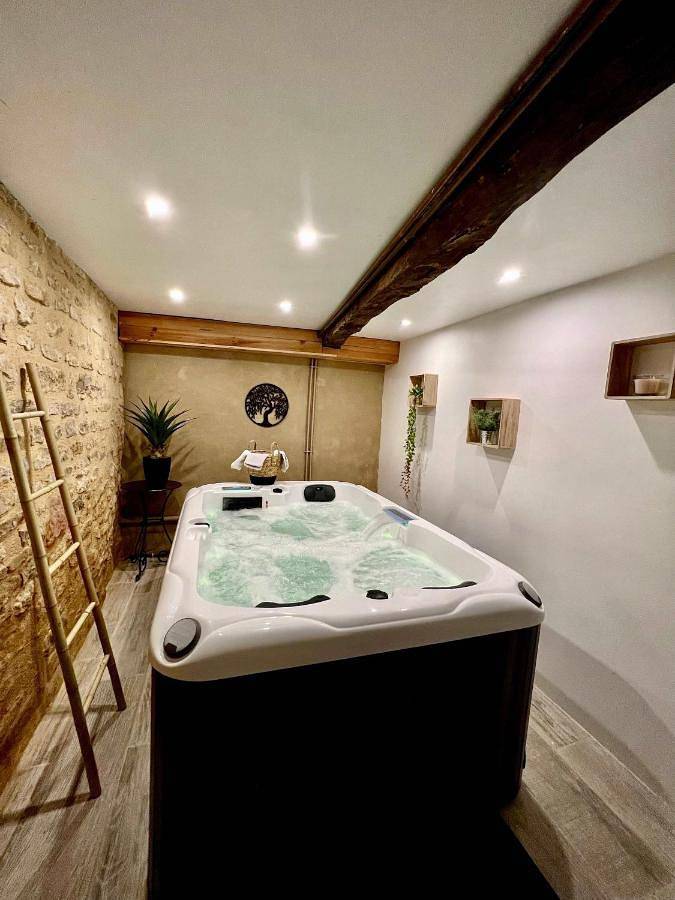 Location de vacances pour 14 personnes, avec jardin et piscine ainsi que jacuzzi et terrasse à Mauzac-et-Grand-Castang - 2