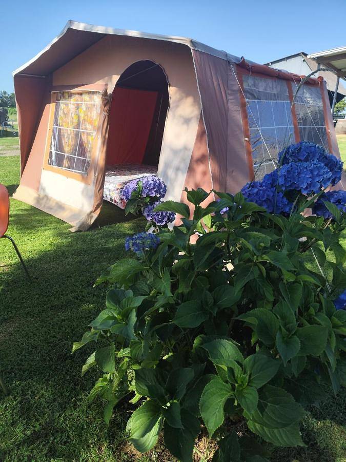 Tent (4 People) in Le Ménil-Ciboult, Région d'Argentan