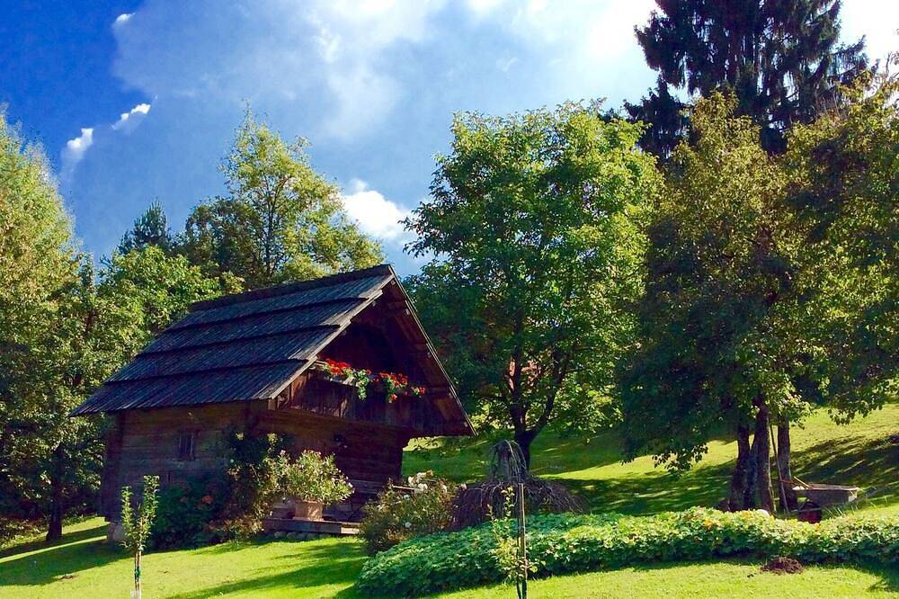 Romantic hut in the Rosental in Karavanke in Pohorje, Klagenfurt-Land