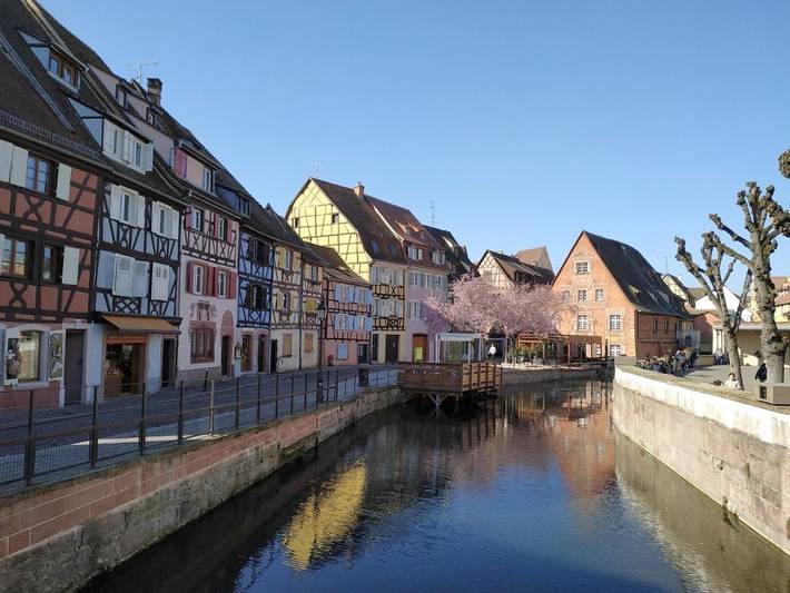 Ferienhaus für 7 Personen, mit Ausblick, mit Haustier in Colmar - 2