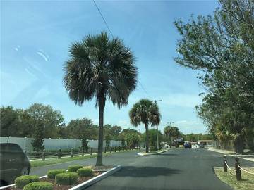 Camping for 4 Guests in Orange County (FL), Picture 3