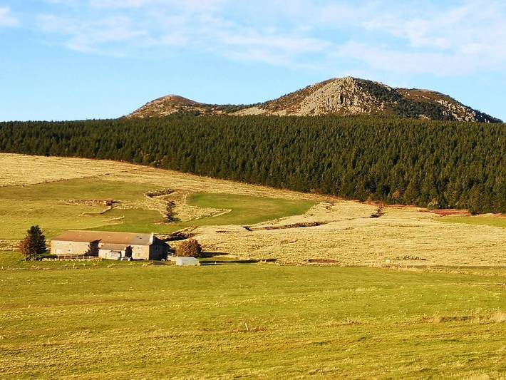 Gîte pour 6 personnes, avec jardin et terrasse en Haute-Loire - 3