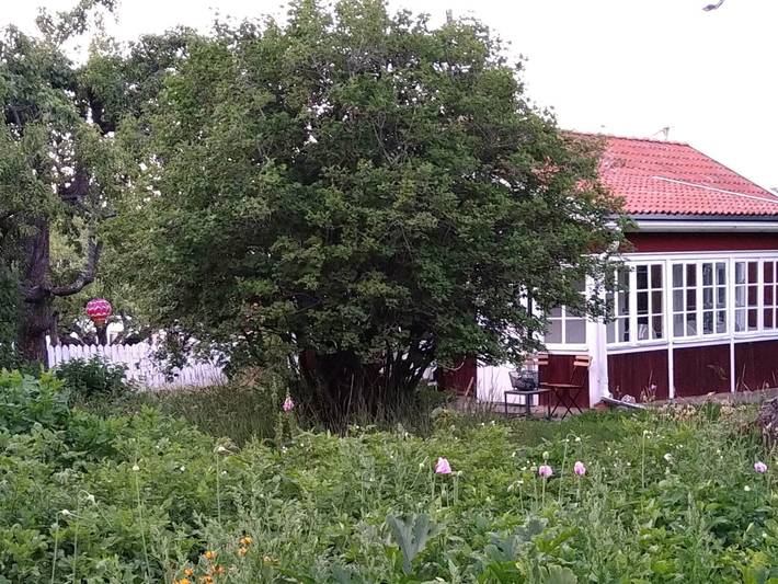 5 Personen Ferienhaus in Eskilstuna in Mälaren