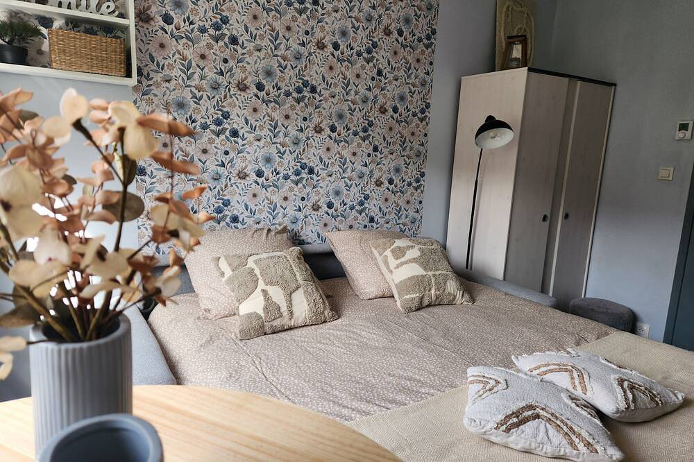 Entire apartment, La chambre de Sophie Studio with garage in quiet location near town center in Lons-le-Saunier, Jura