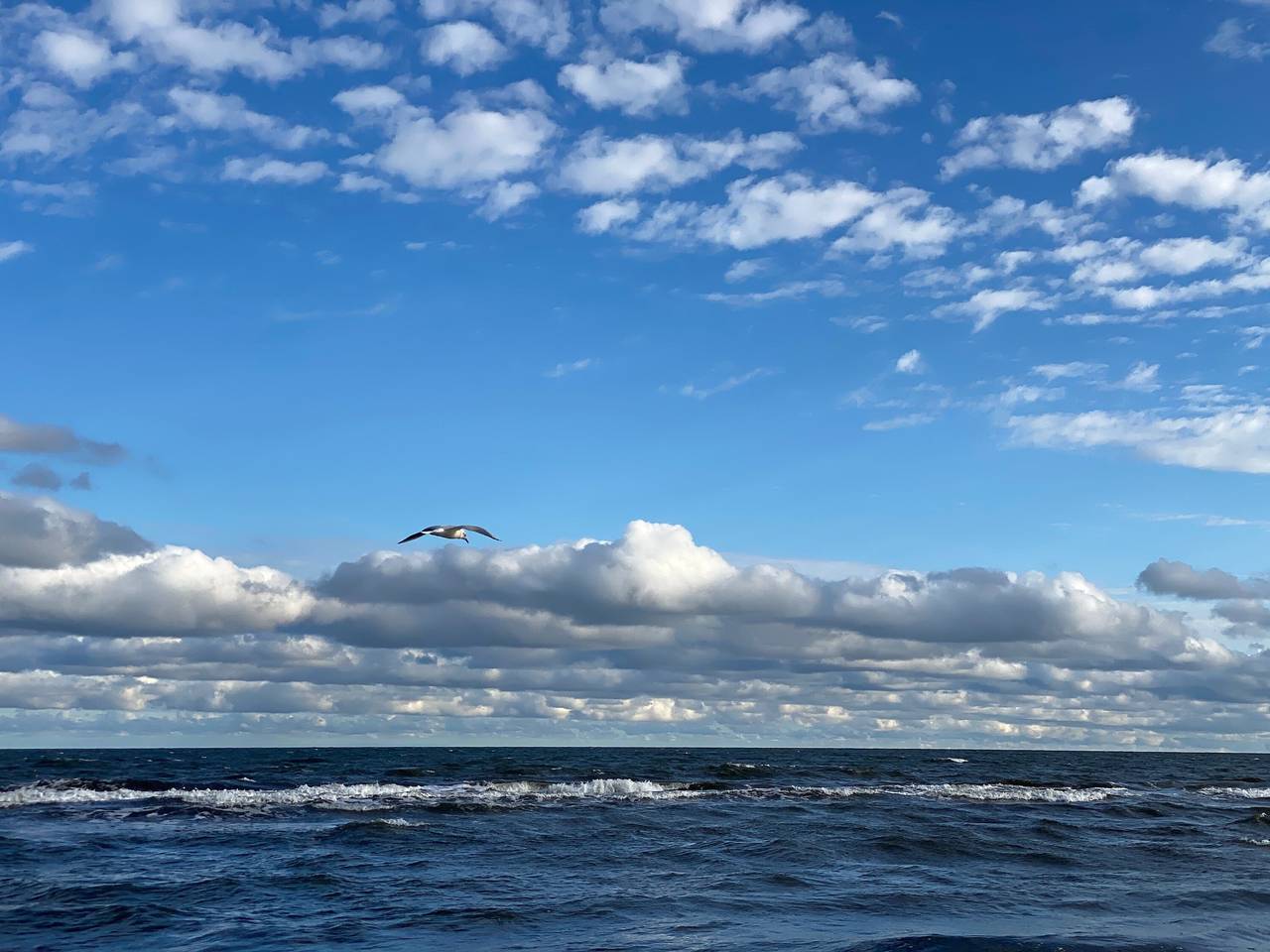 Ganze Wohnung, Apartment „Ostseestrand“ mit Balkon, Wlan und Klimaanlage in Ostseebad Prerow, Prerow