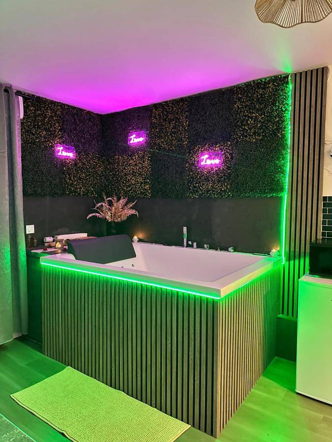 Gîte pour 4 personnes, avec terrasse et jacuzzi dans Saint-Quentin en Yvelines - 2